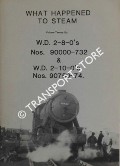 Book cover of What Happened to Steam by HANDS, Peter